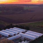 gospodarstwo rolne zielin